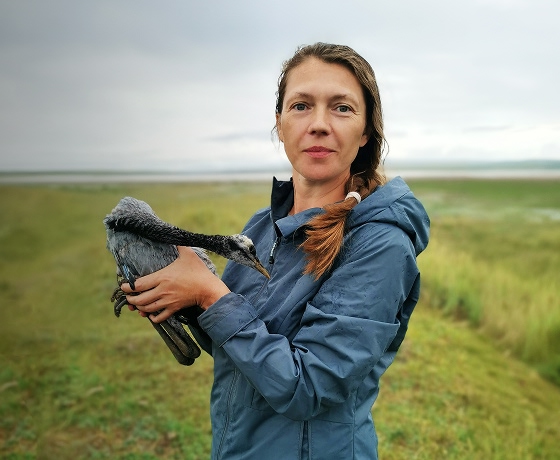 Елена Мудрик