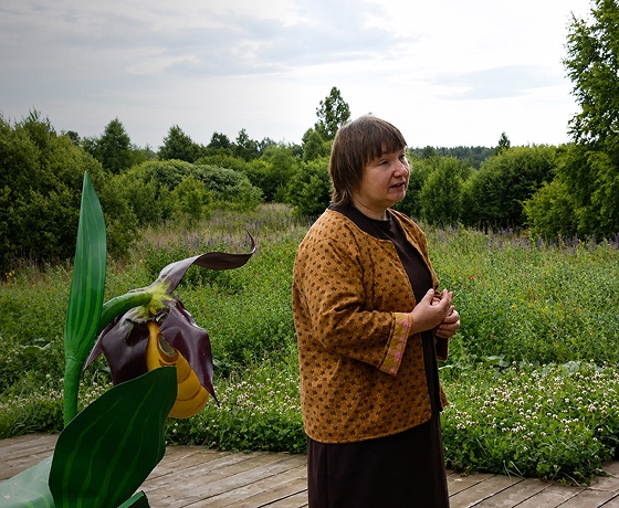 Елена Волкова