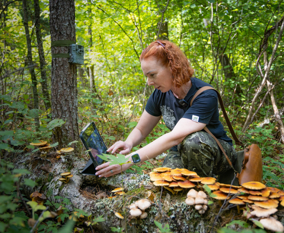 Светлана Сутырина
